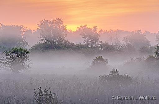 Misty Sunrise_10611-2.jpg - Photographed near Rosedale, Ontario, Canada.